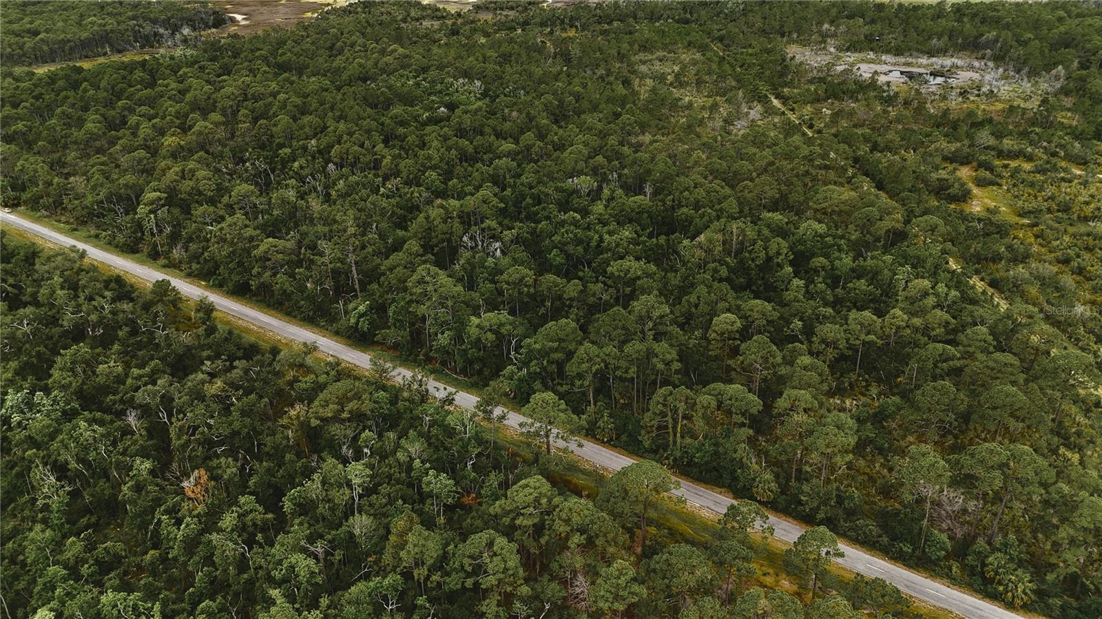 LOTS 8,9,15 00 ADAMS BEACH ROAD, PERRY, FL — photo 7
