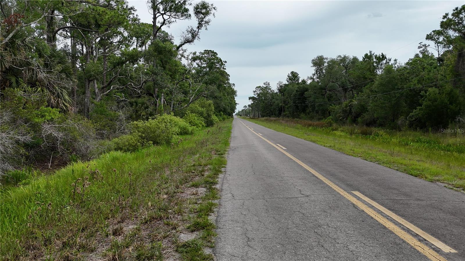 LOTS 8,9,15 00 ADAMS BEACH ROAD, PERRY, FL — photo 9