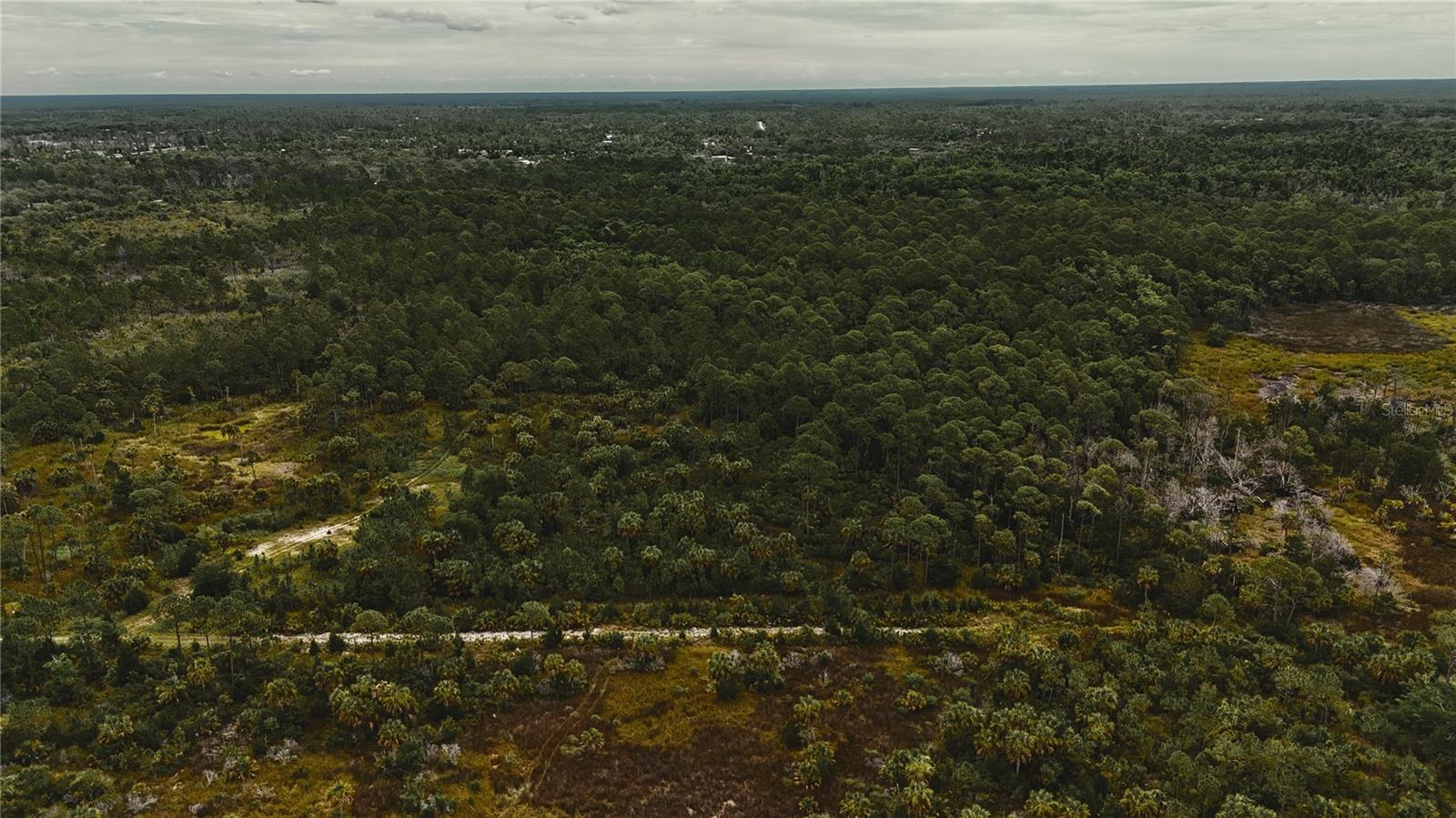 LOTS 8,9,15 00 ADAMS BEACH ROAD, PERRY, FL — photo 11