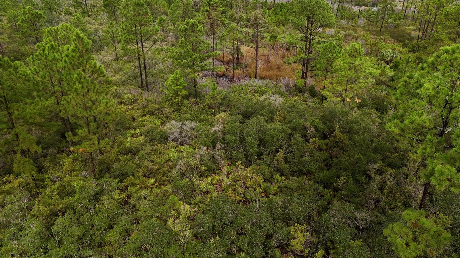 LOTS 8,9,15 00 ADAMS BEACH ROAD, PERRY, FL — photo 13