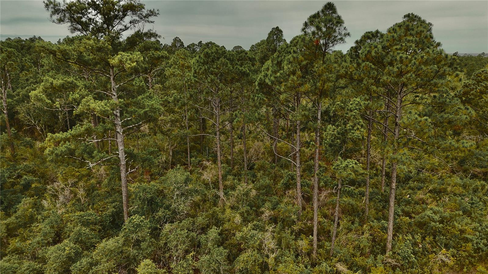 LOTS 8,9,15 00 ADAMS BEACH ROAD, PERRY, FL — photo 17