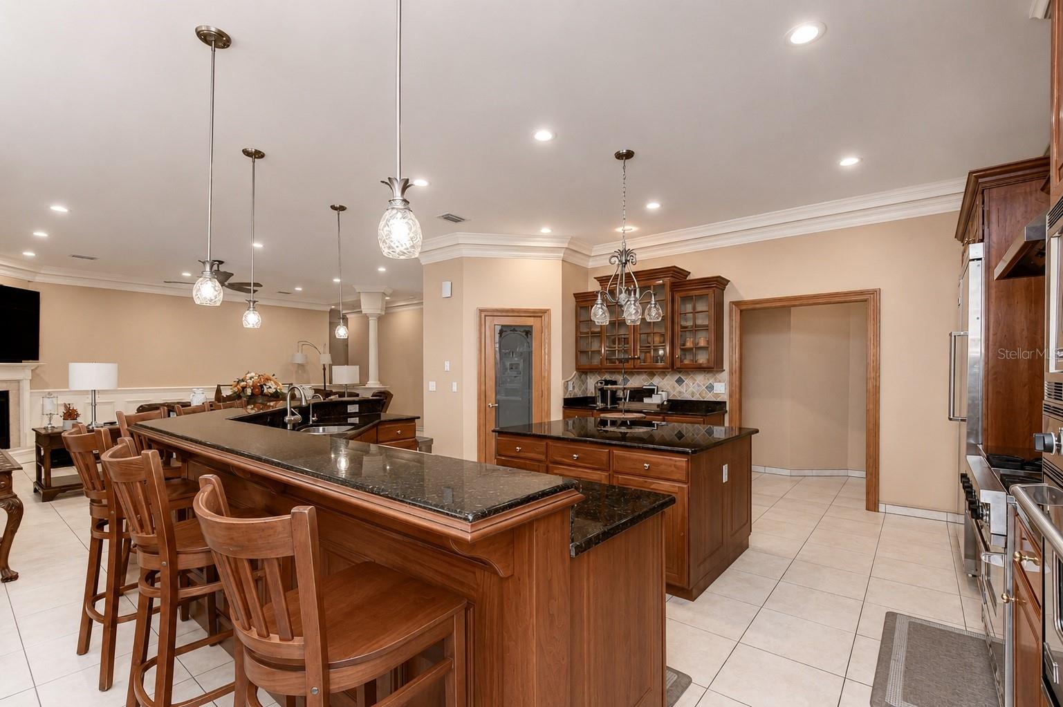 1009 EMERALD CREEK DR, VALRICO, FL — photo 12