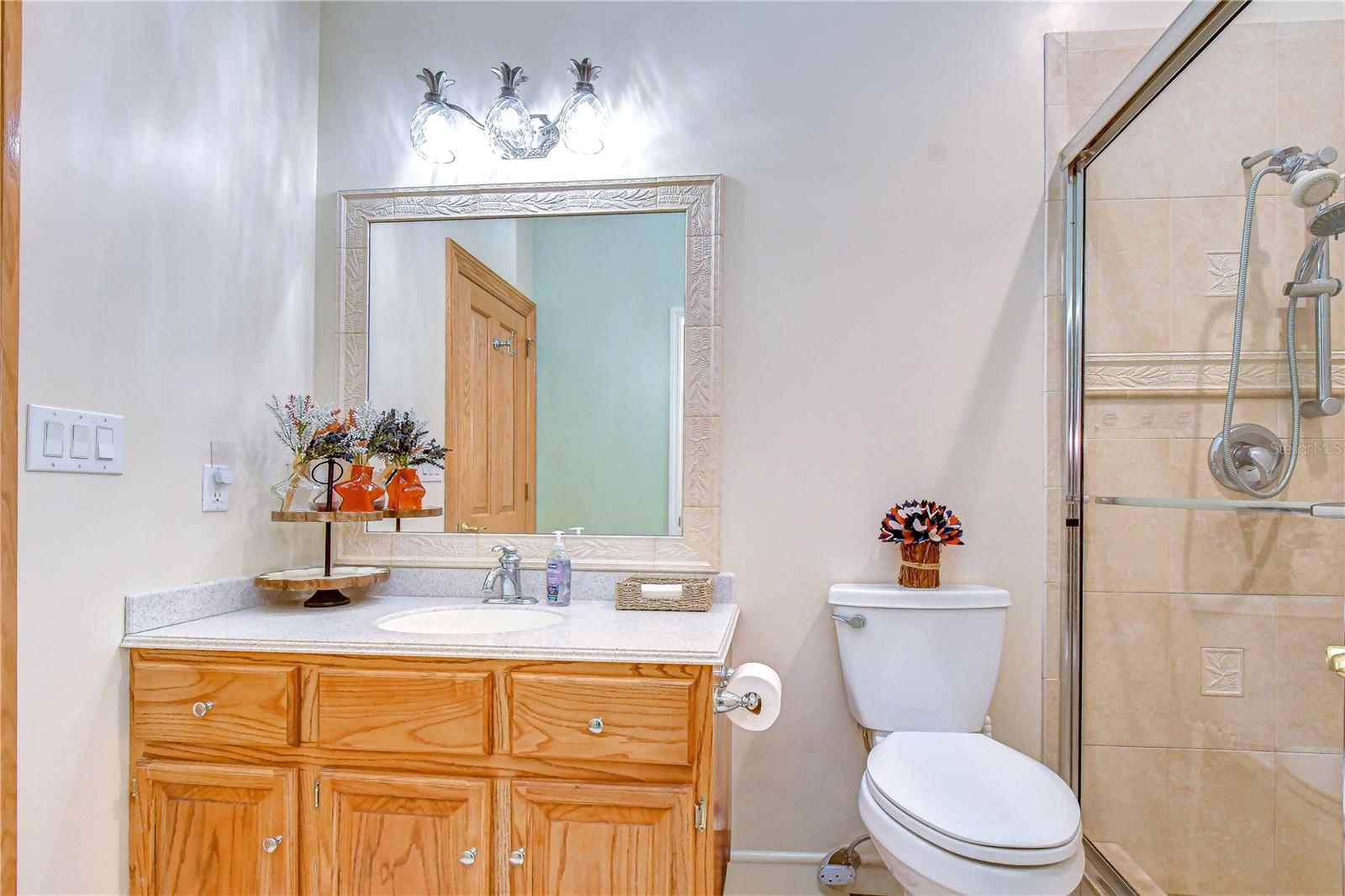 1009 EMERALD CREEK DR, VALRICO, FL — photo 29