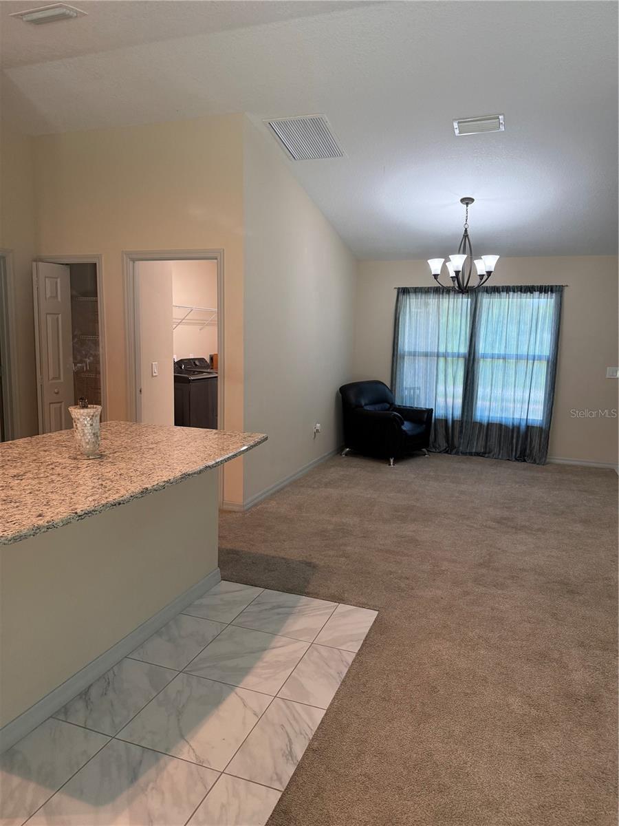 3770 SE 137TH LN, SUMMERFIELD, FL — photo 6