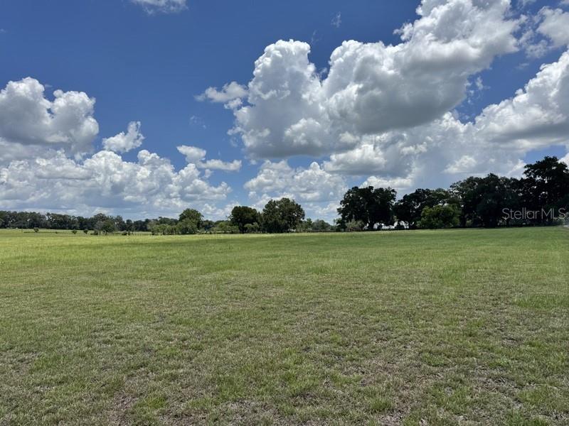 NW 131 ST, REDDICK, FL