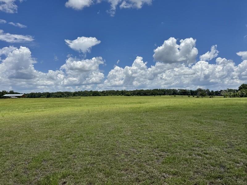 NW 131 ST, REDDICK, FL — photo 2