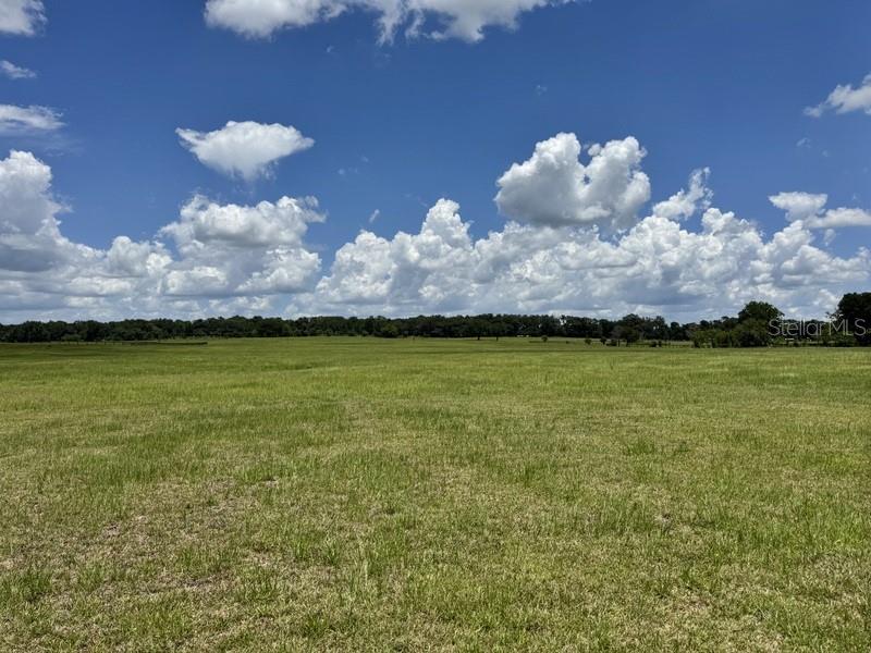 NW 131 ST, REDDICK, FL — photo 4