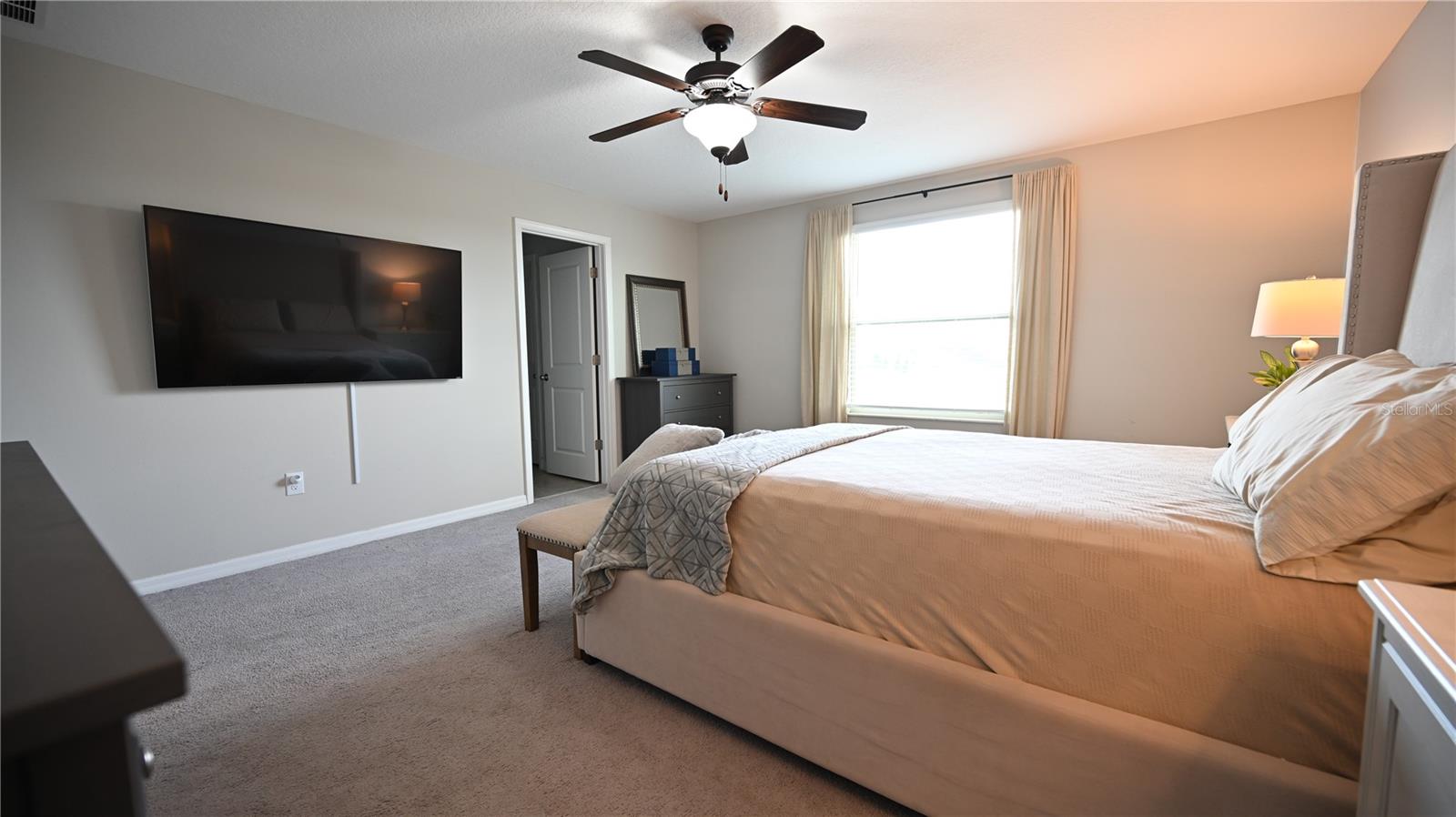 10509 CARLOWAY HILLS DR, WIMAUMA, FL — photo 17