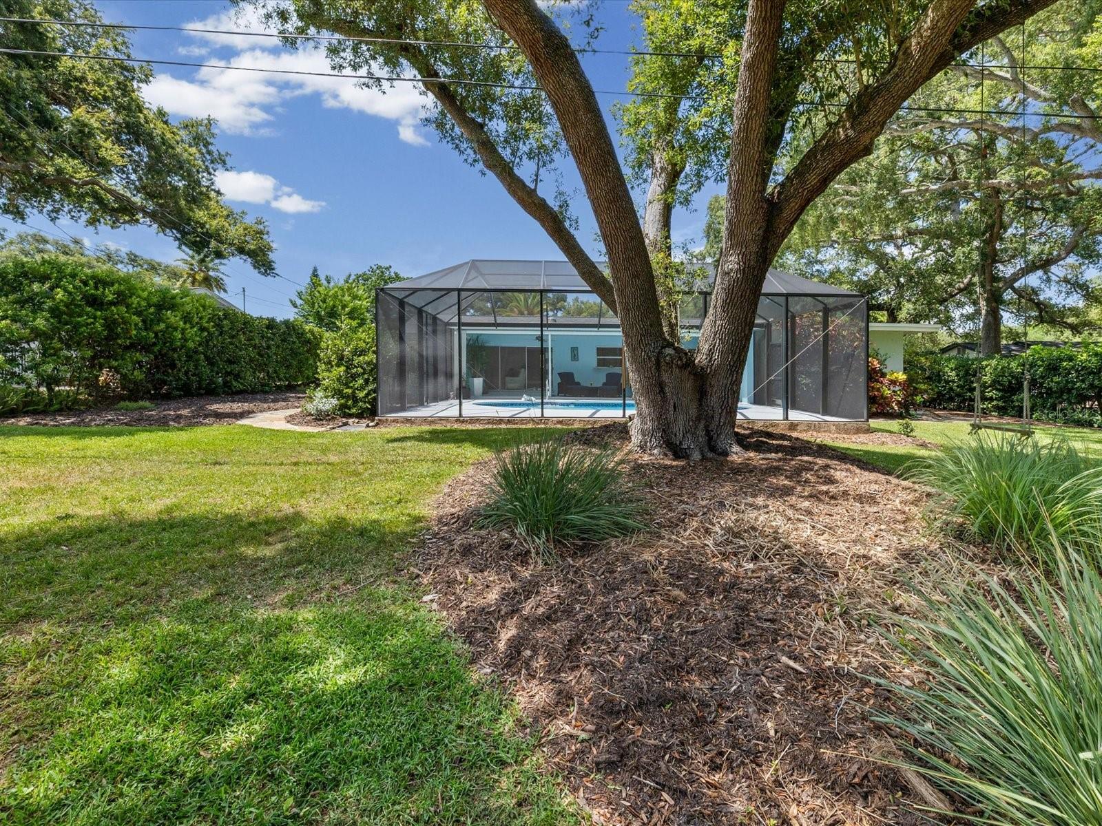 2285 WATROUS DR, DUNEDIN, FL — photo 46