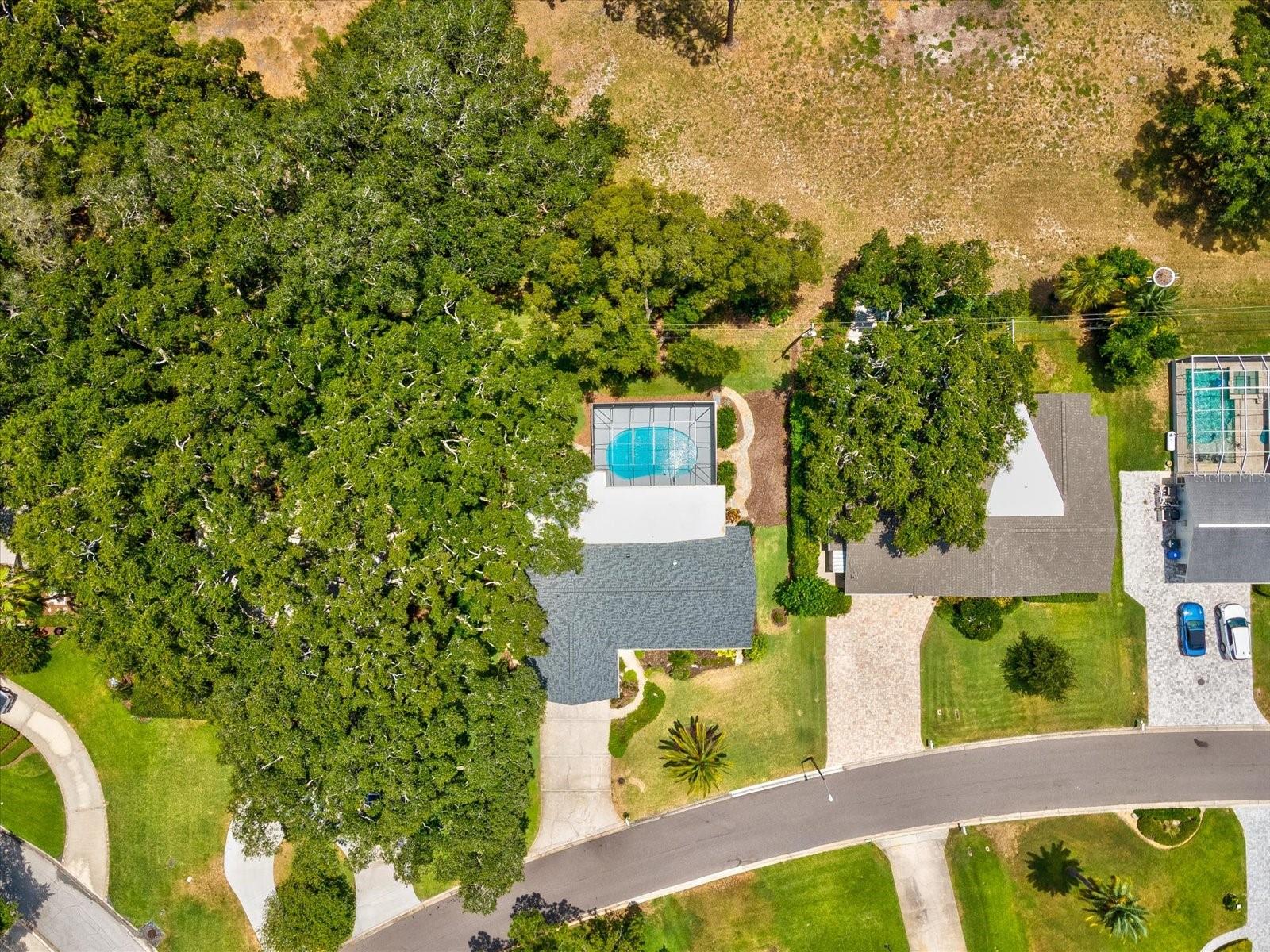 2285 WATROUS DR, DUNEDIN, FL — photo 52