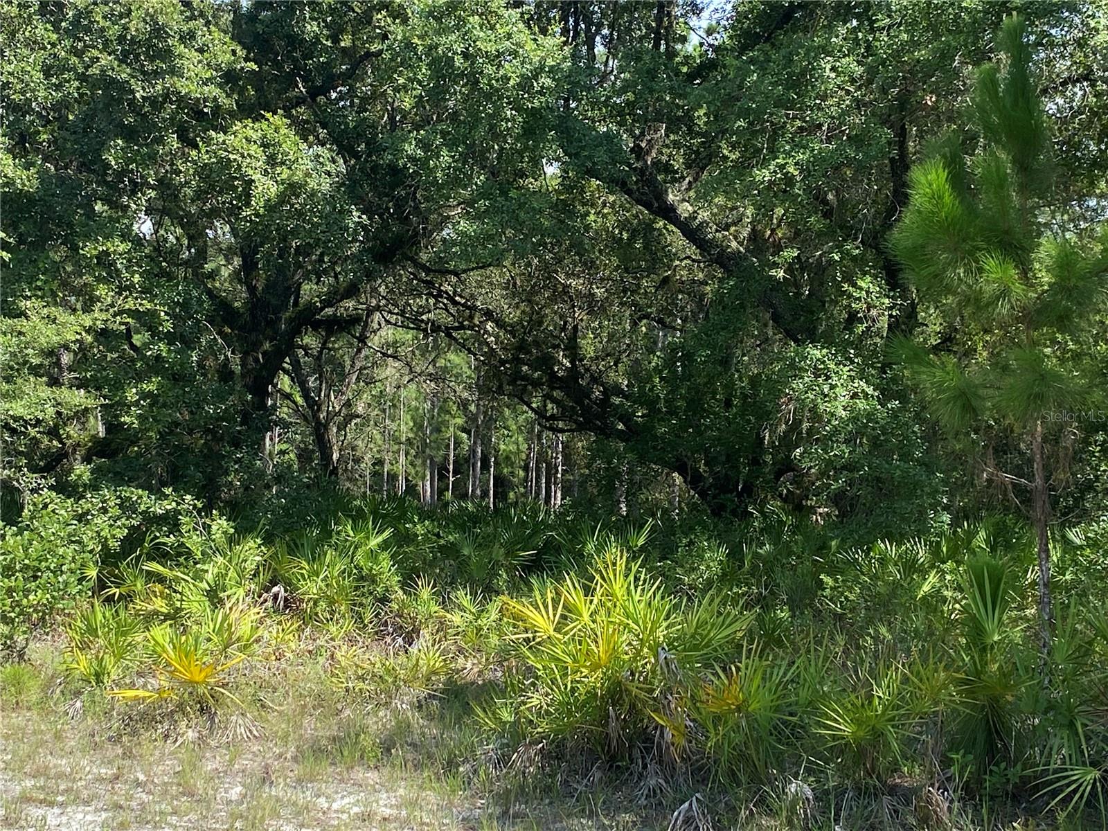 0 OLEANDER DR, INDIAN LAKE ESTATES, FL — photo 2