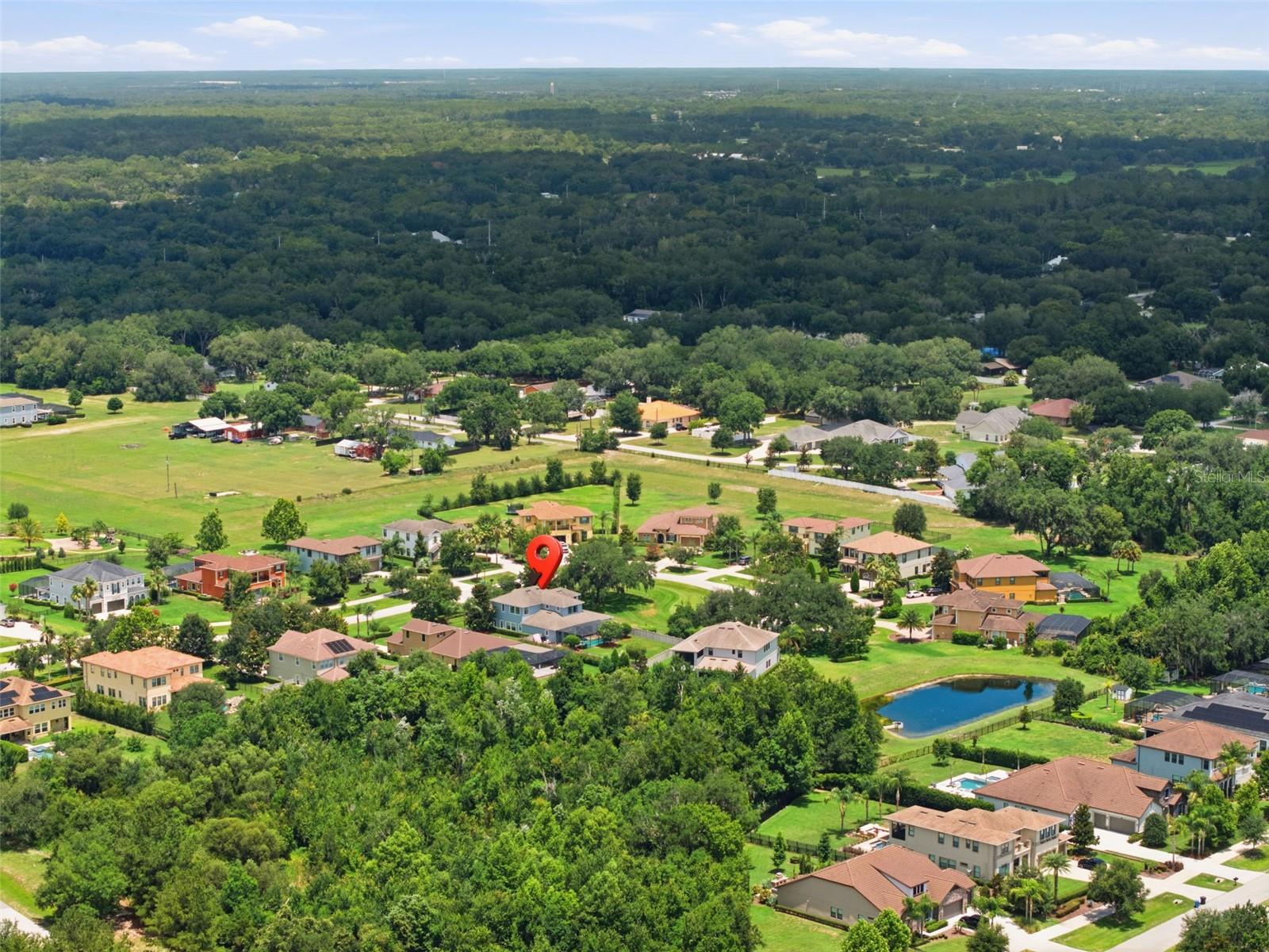 17909 HOWSMOOR PL, LUTZ, FL — photo 67