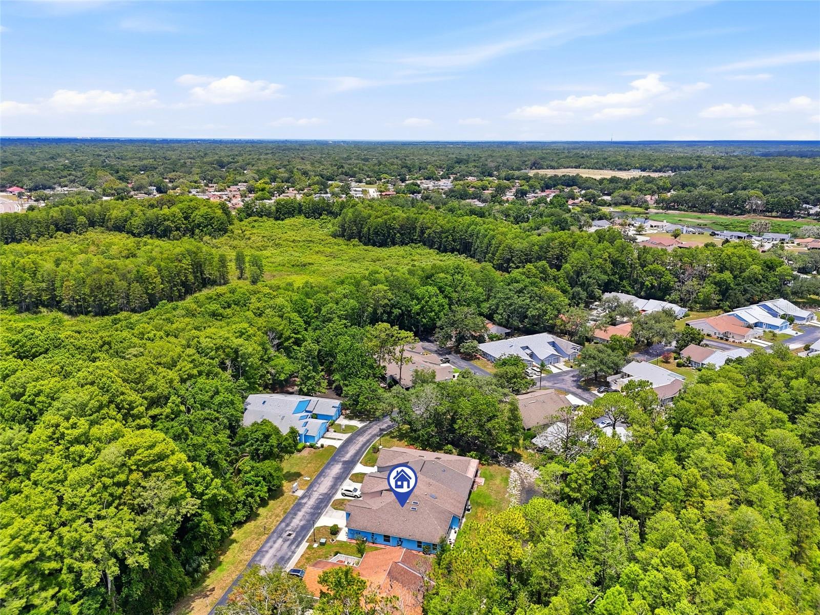 12512 HOLLYBROOK LN, HUDSON, FL — photo 41
