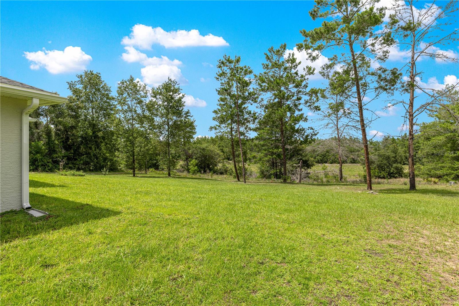 16614 SW 45TH CIR, OCALA, FL — photo 48