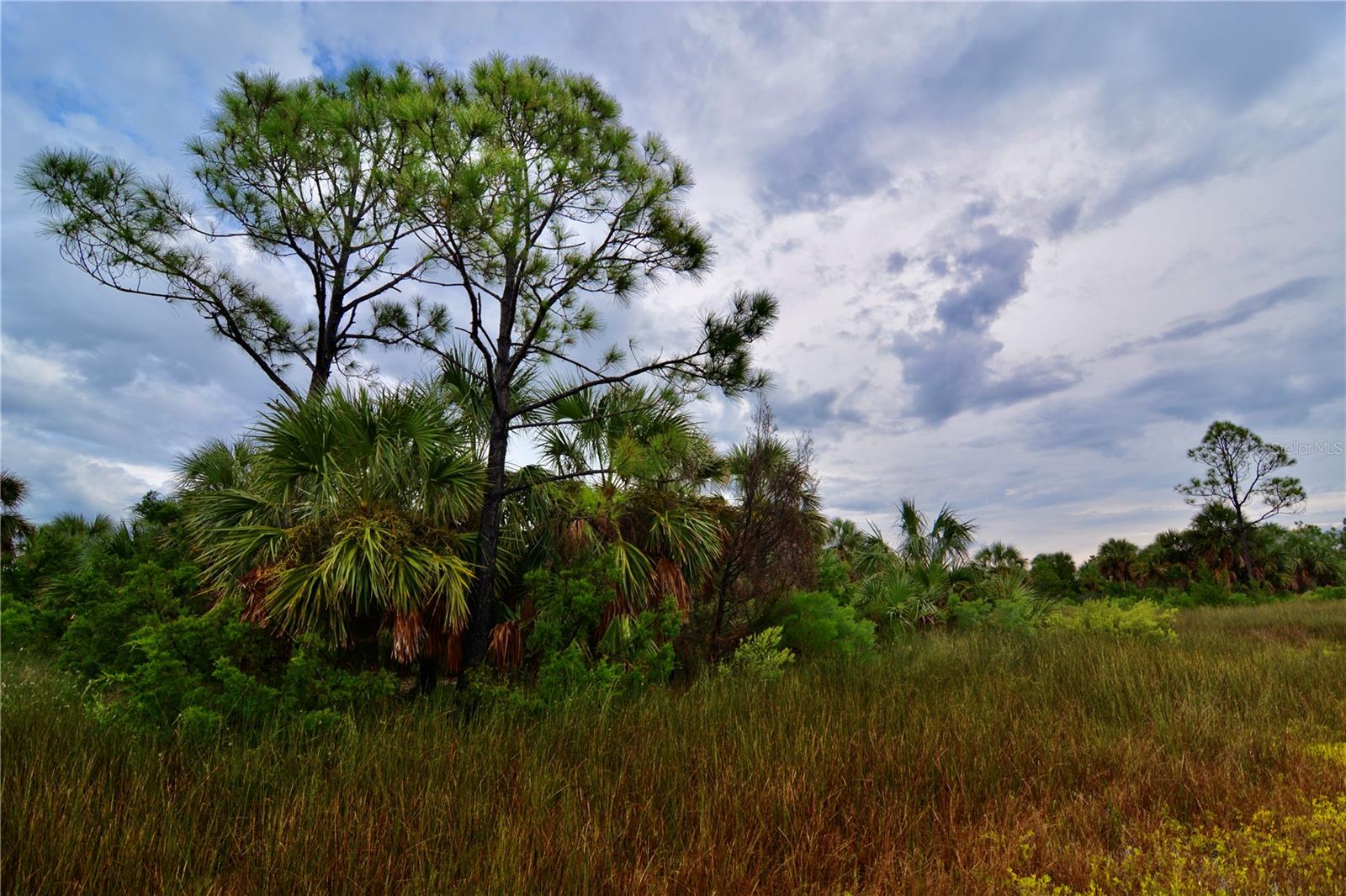 00 LOTS 18,19 ADAMS BEACH ROAD, PERRY, FL — photo 2