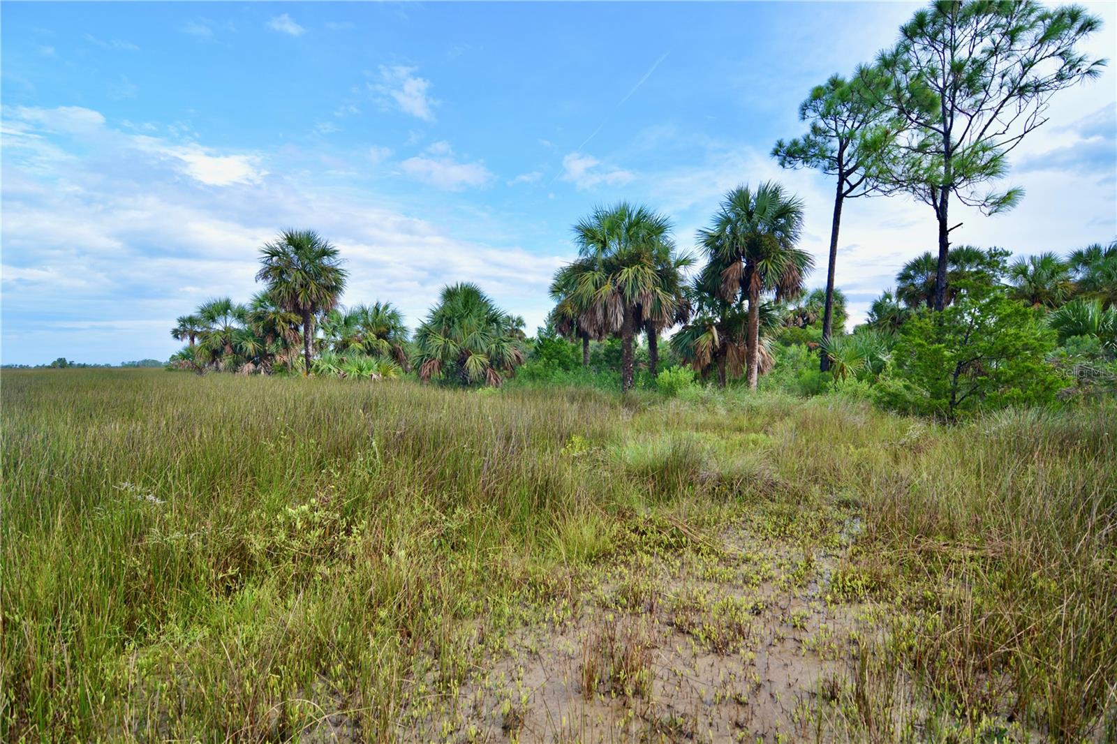 00 LOTS 18,19 ADAMS BEACH ROAD, PERRY, FL — photo 3
