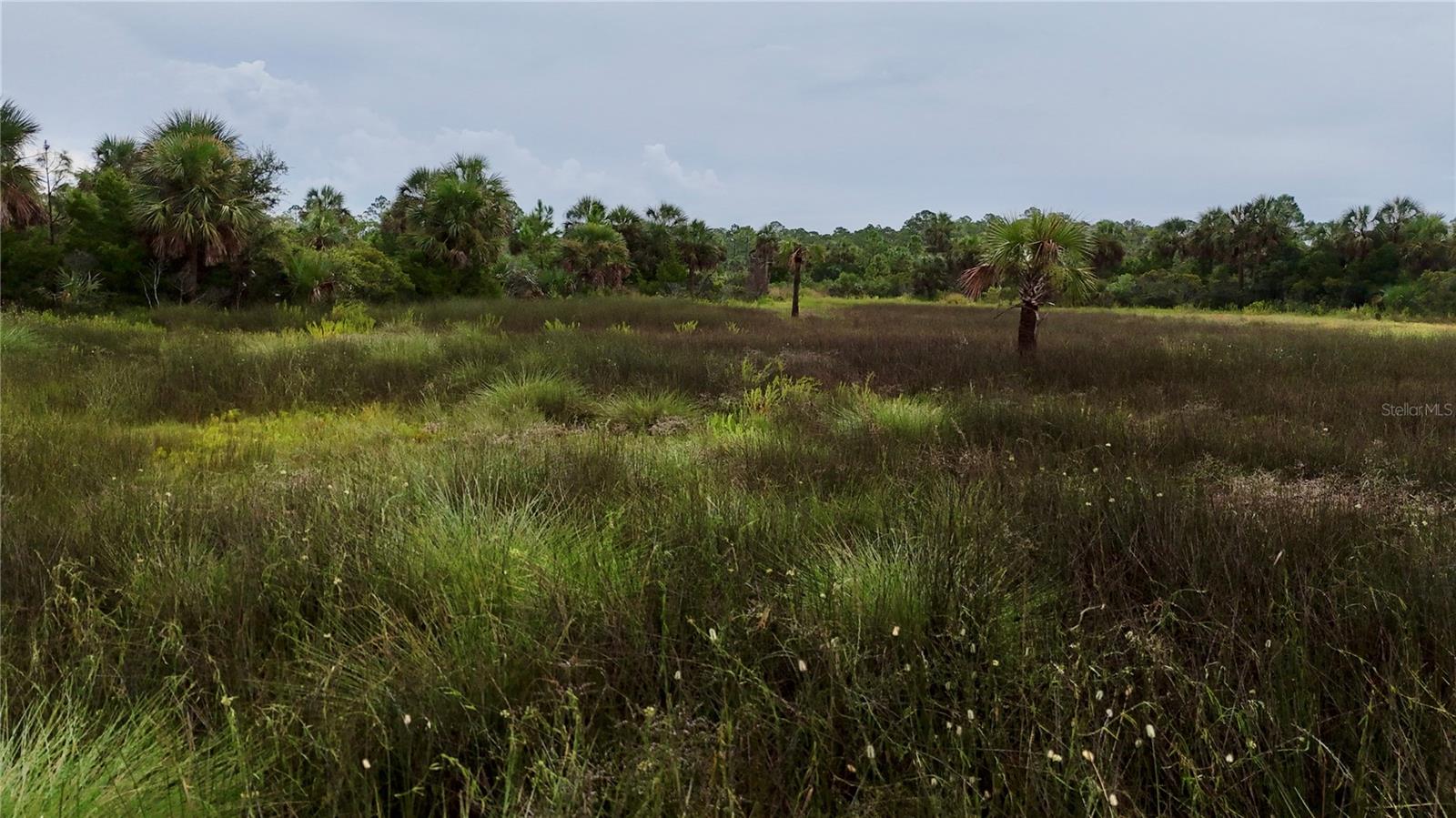 00 LOTS 18,19 ADAMS BEACH ROAD, PERRY, FL — photo 7
