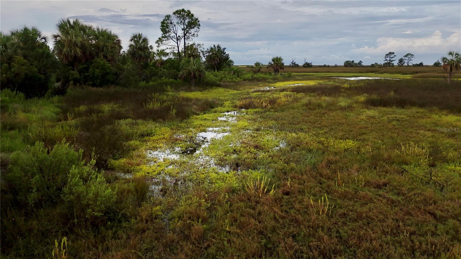 00 LOTS 18,19 ADAMS BEACH ROAD, PERRY, FL — photo 9