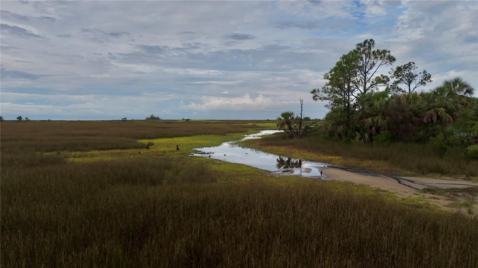 00 LOTS 18,19 ADAMS BEACH ROAD, PERRY, FL — photo 11
