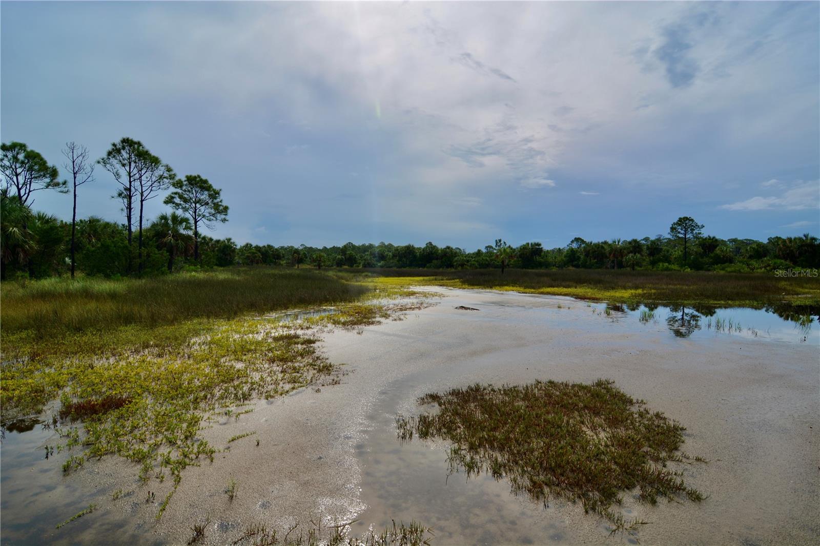 00 LOTS 18,19 ADAMS BEACH ROAD, PERRY, FL — photo 13