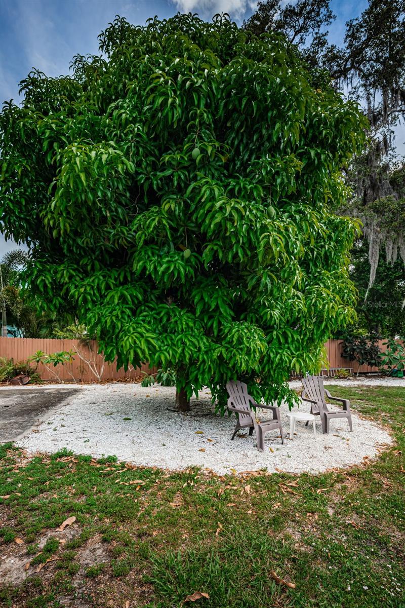412 PENNSYLVANIA AVE, PALM HARBOR, FL — photo 34
