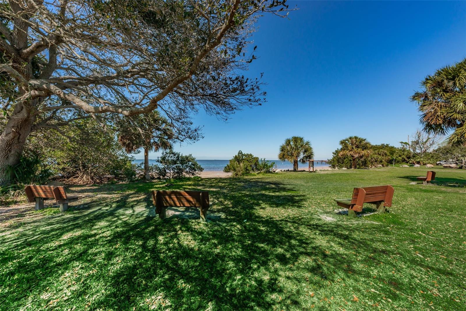 412 PENNSYLVANIA AVE, PALM HARBOR, FL — photo 39