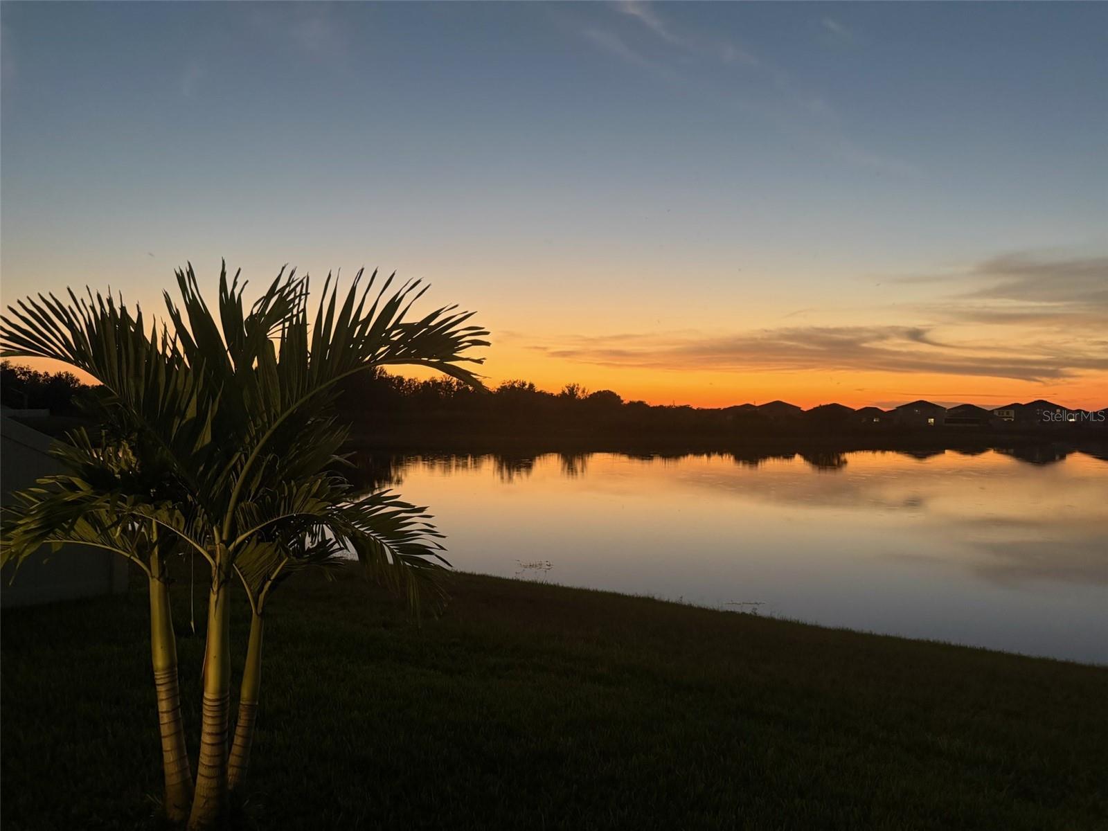 3117 KING FERN DR, WIMAUMA, FL — photo 3