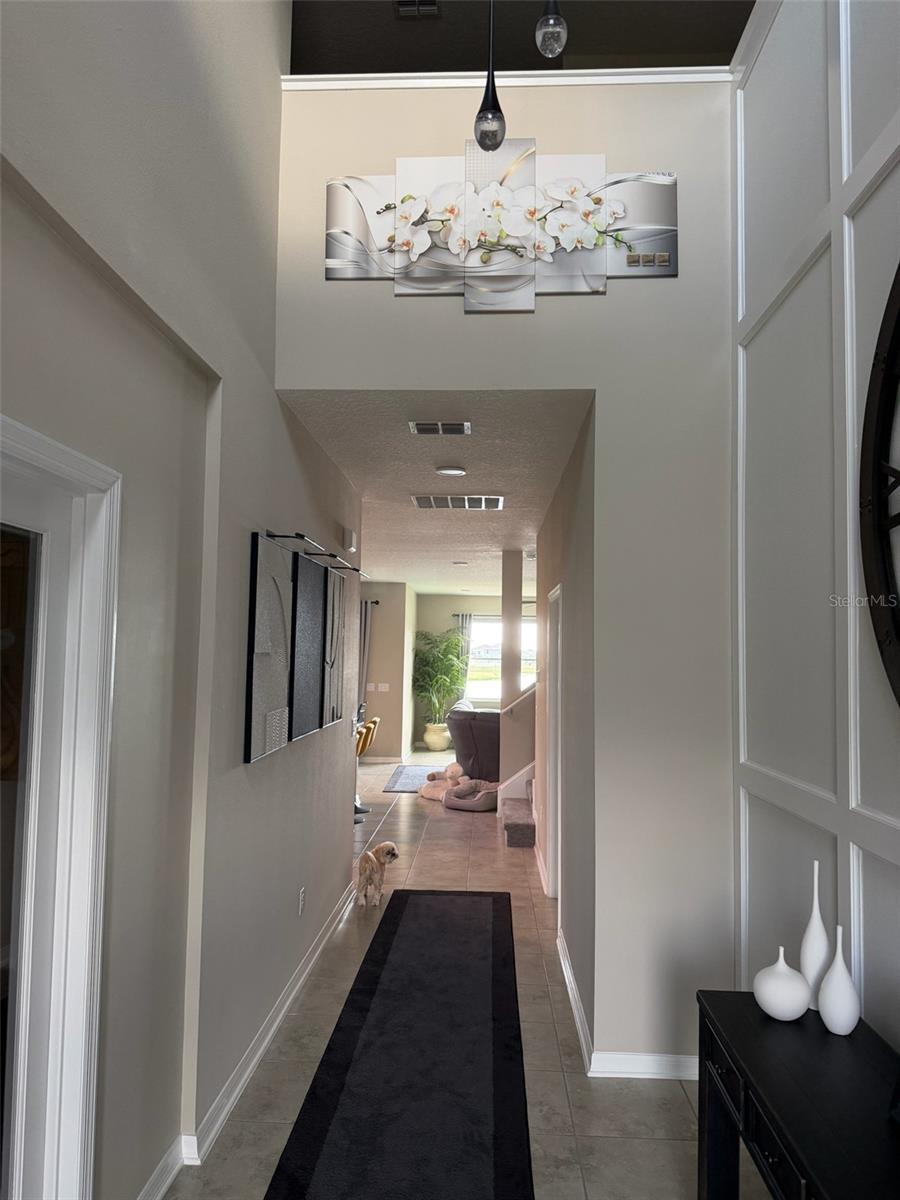 3117 KING FERN DR, WIMAUMA, FL — photo 13