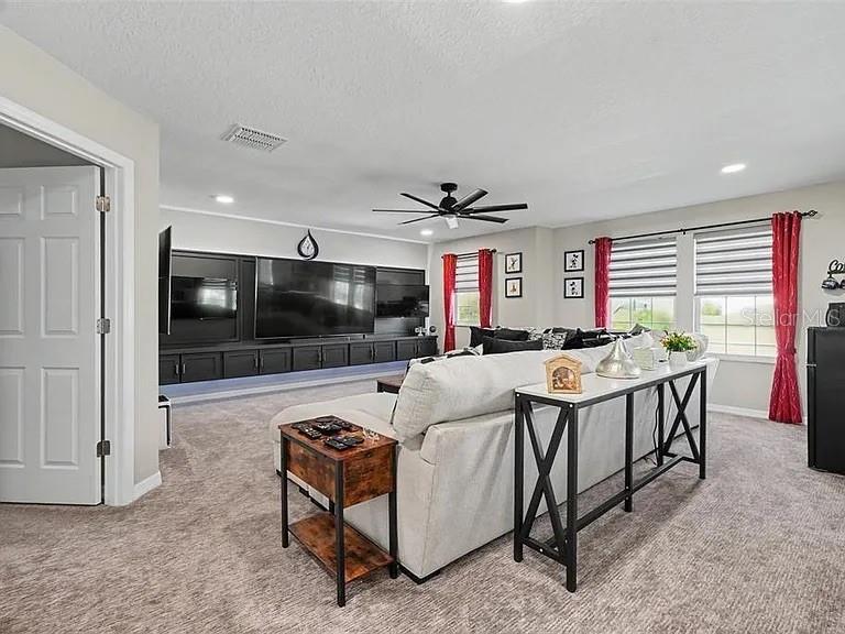 3117 KING FERN DR, WIMAUMA, FL — photo 52
