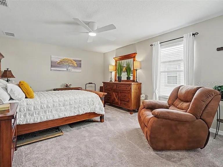 3117 KING FERN DR, WIMAUMA, FL — photo 53