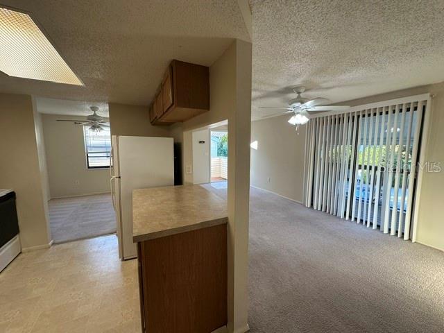 130 SABAL CT #H, OLDSMAR, FL — photo 8