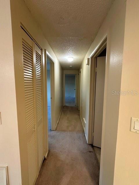 130 SABAL CT #H, OLDSMAR, FL — photo 11