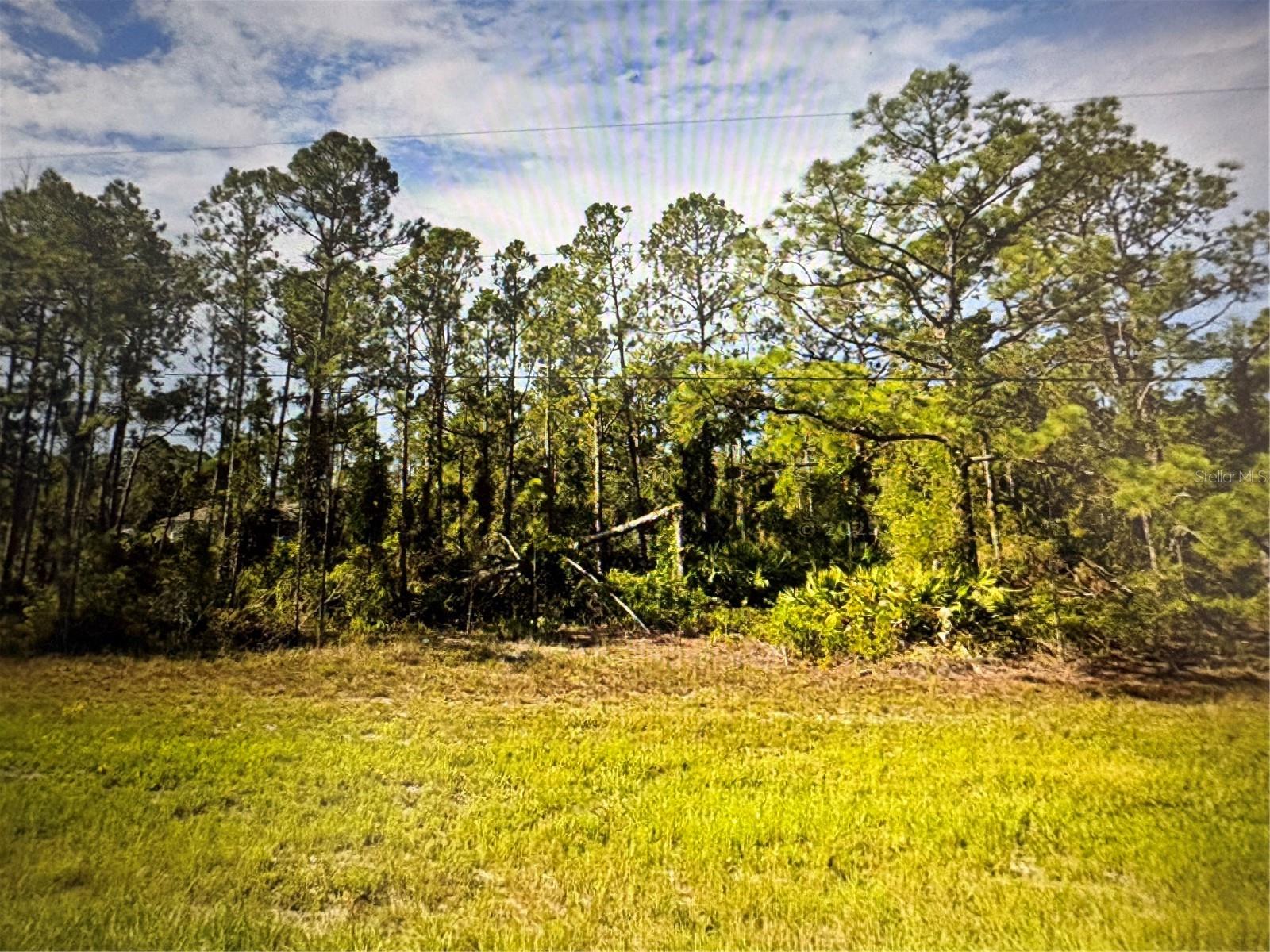 TROPICAIRE BLVD, NORTH PORT, FL