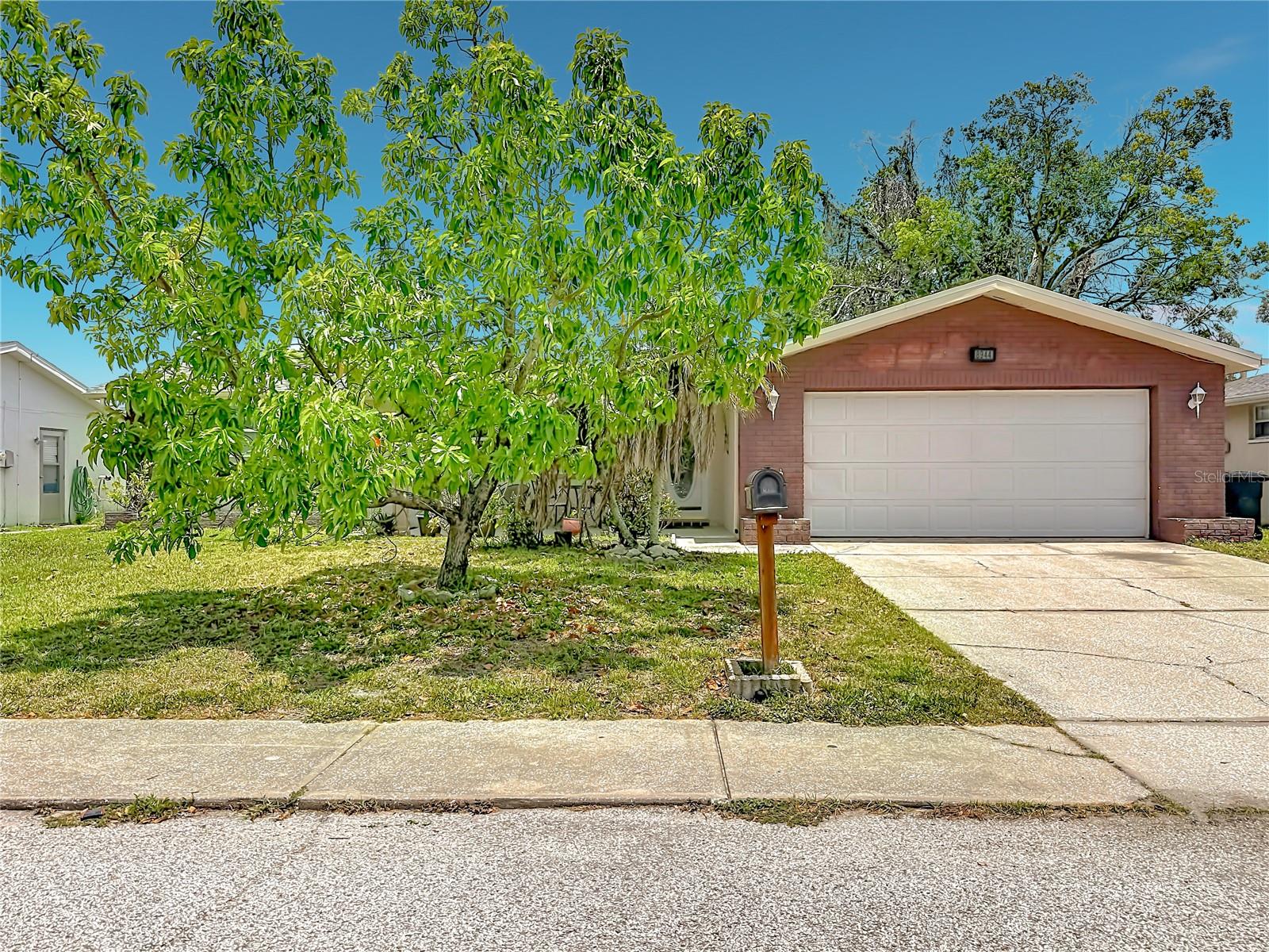 8944 LEDGESTONE LN, PORT RICHEY, FL — photo 4