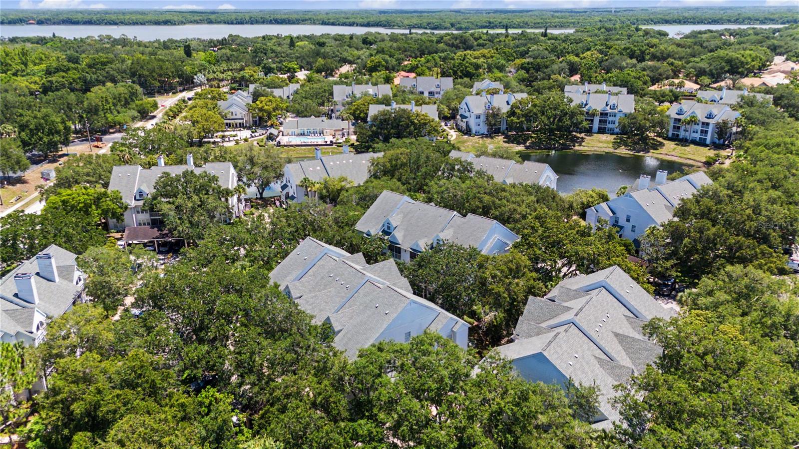 3266 HAVILAND CT #303, PALM HARBOR, FL — photo 38