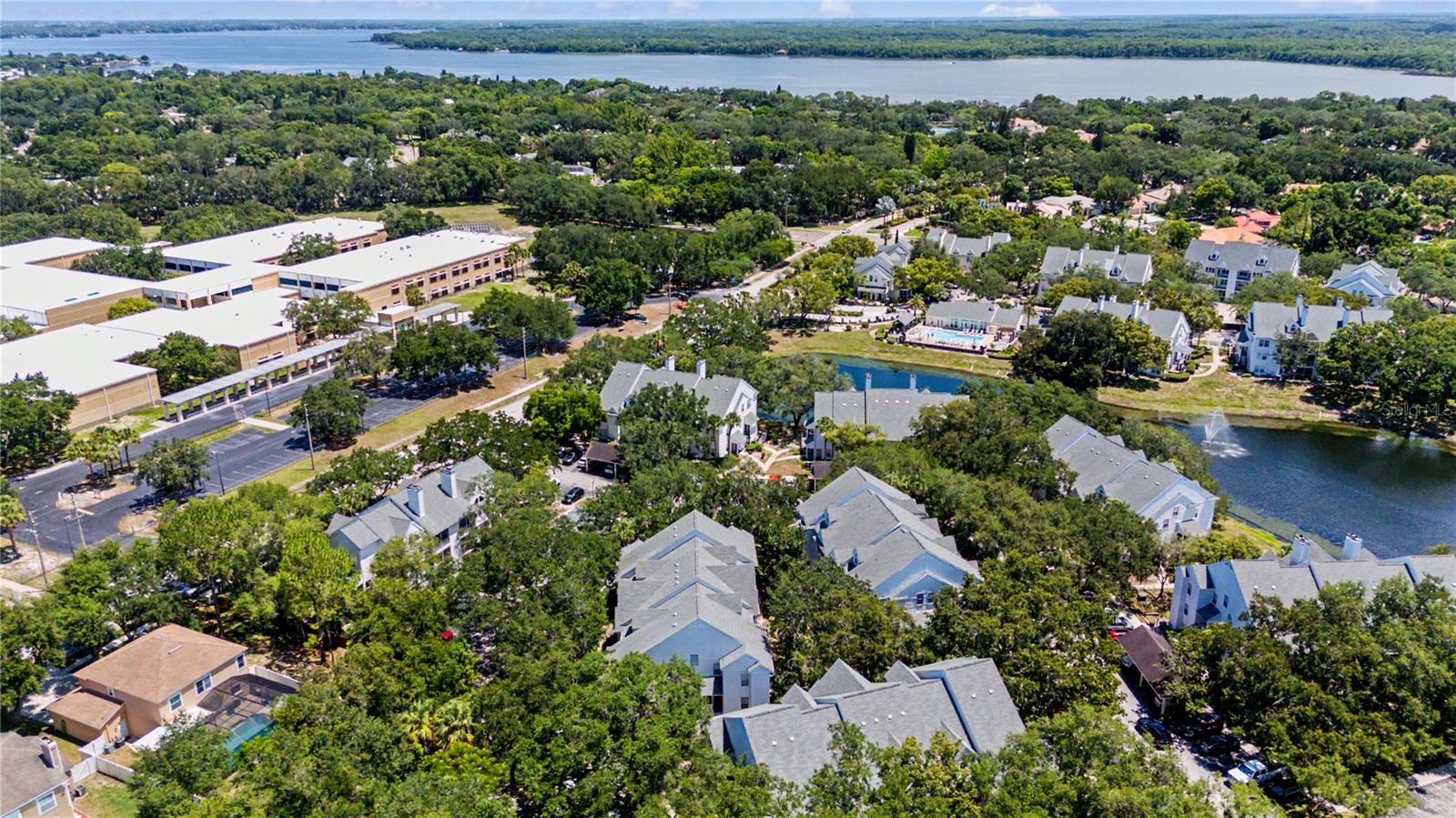 3266 HAVILAND CT #303, PALM HARBOR, FL — photo 39