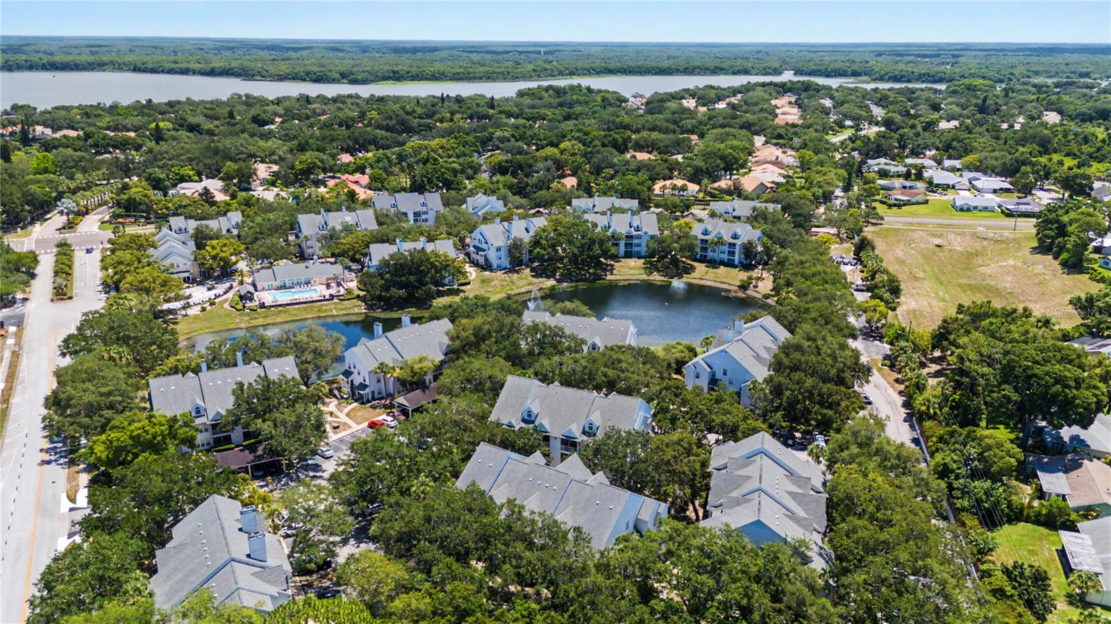3266 HAVILAND CT #303, PALM HARBOR, FL — photo 41