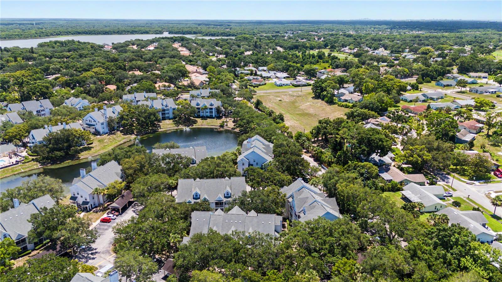 3266 HAVILAND CT #303, PALM HARBOR, FL — photo 42