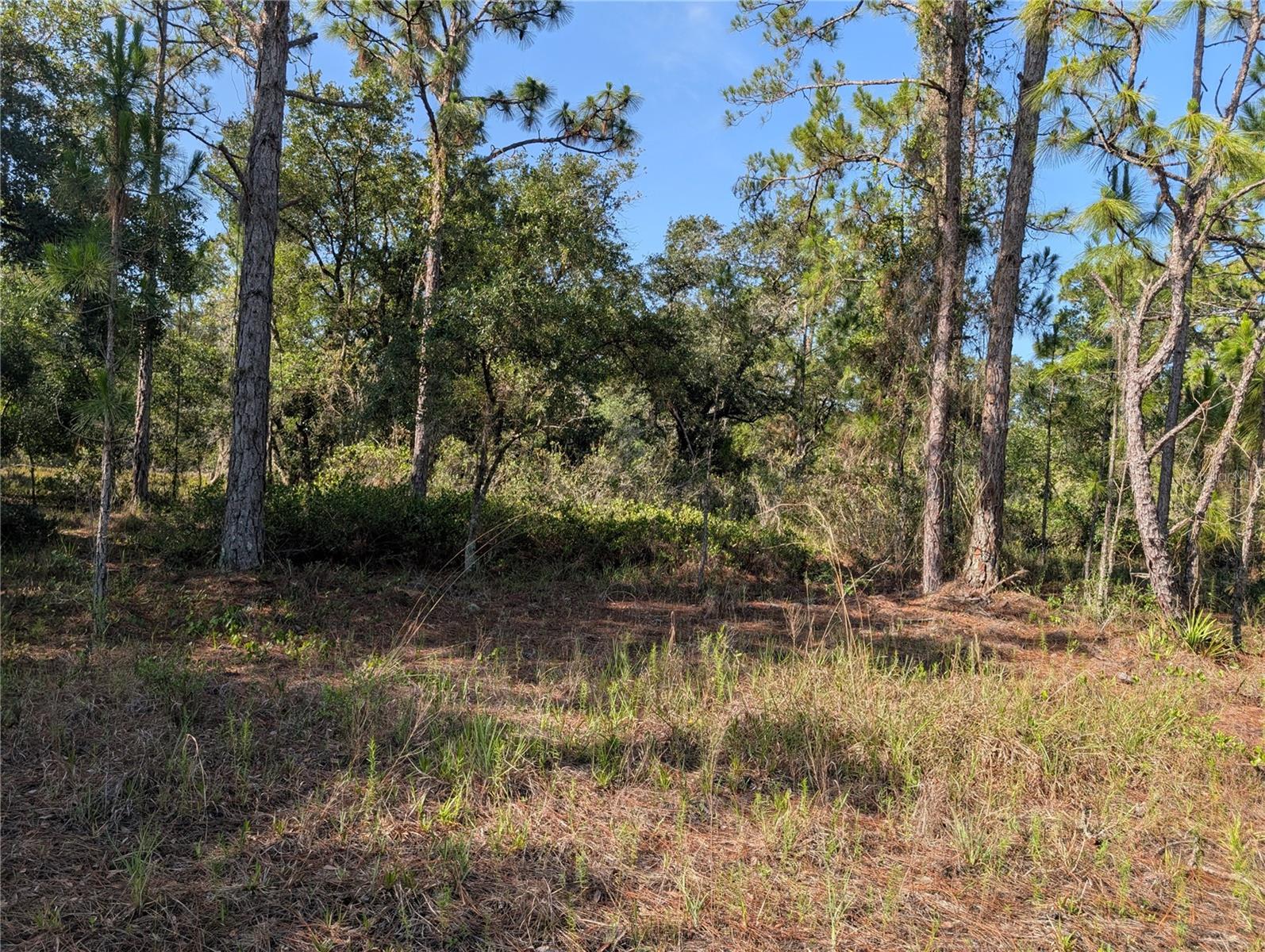 819 & 821 ALLAMANDA DR, INDIAN LAKE ESTATES, FL