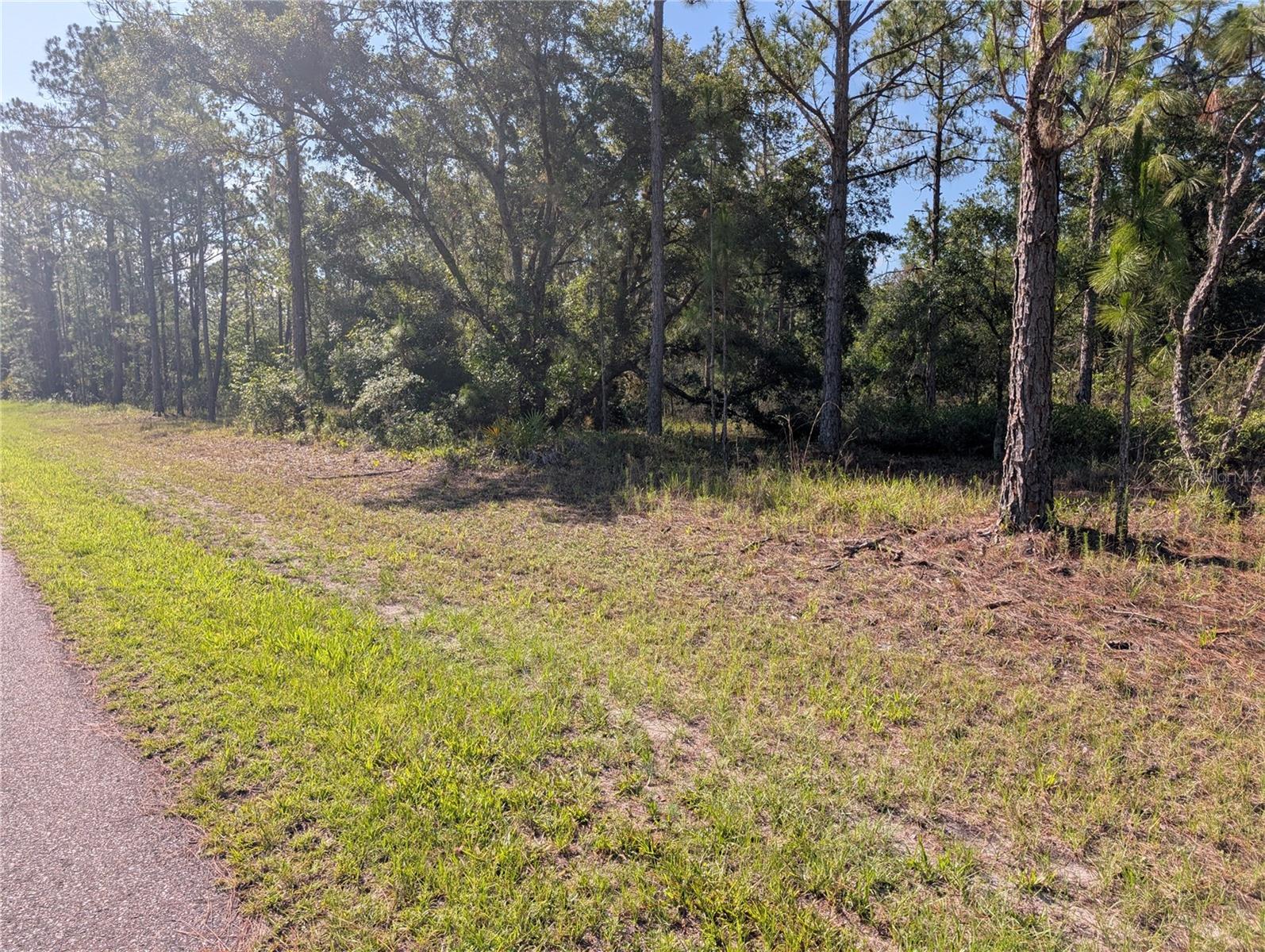 819 & 821 ALLAMANDA DR, INDIAN LAKE ESTATES, FL — photo 7