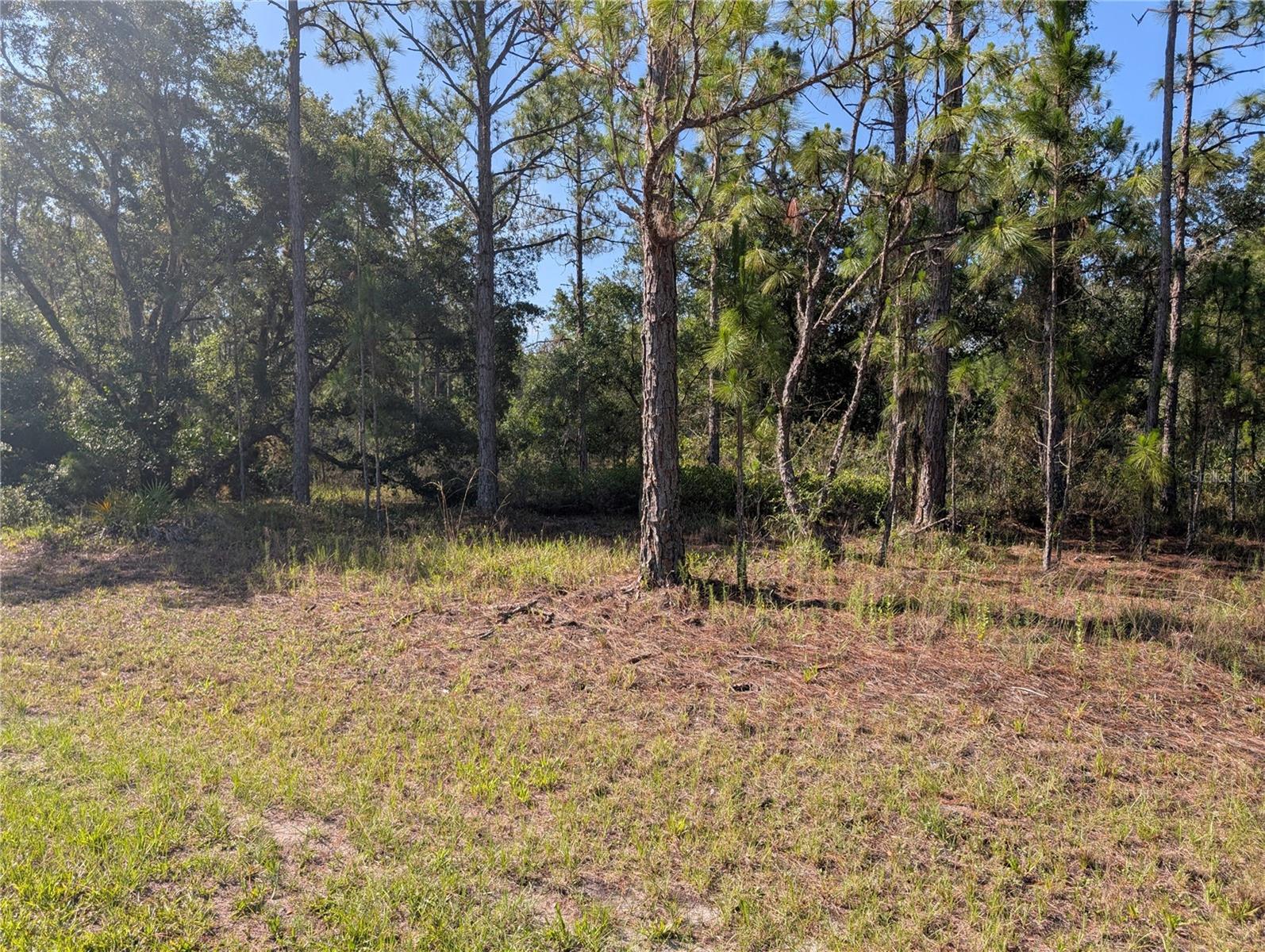 819 & 821 ALLAMANDA DR, INDIAN LAKE ESTATES, FL — photo 8