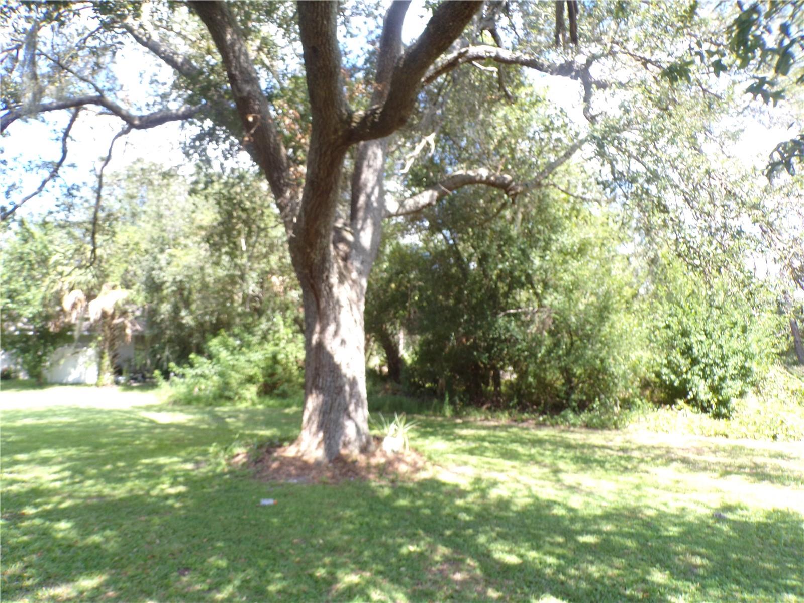1088 MELVILLE RD #A, PUNTA GORDA, FL — photo 22