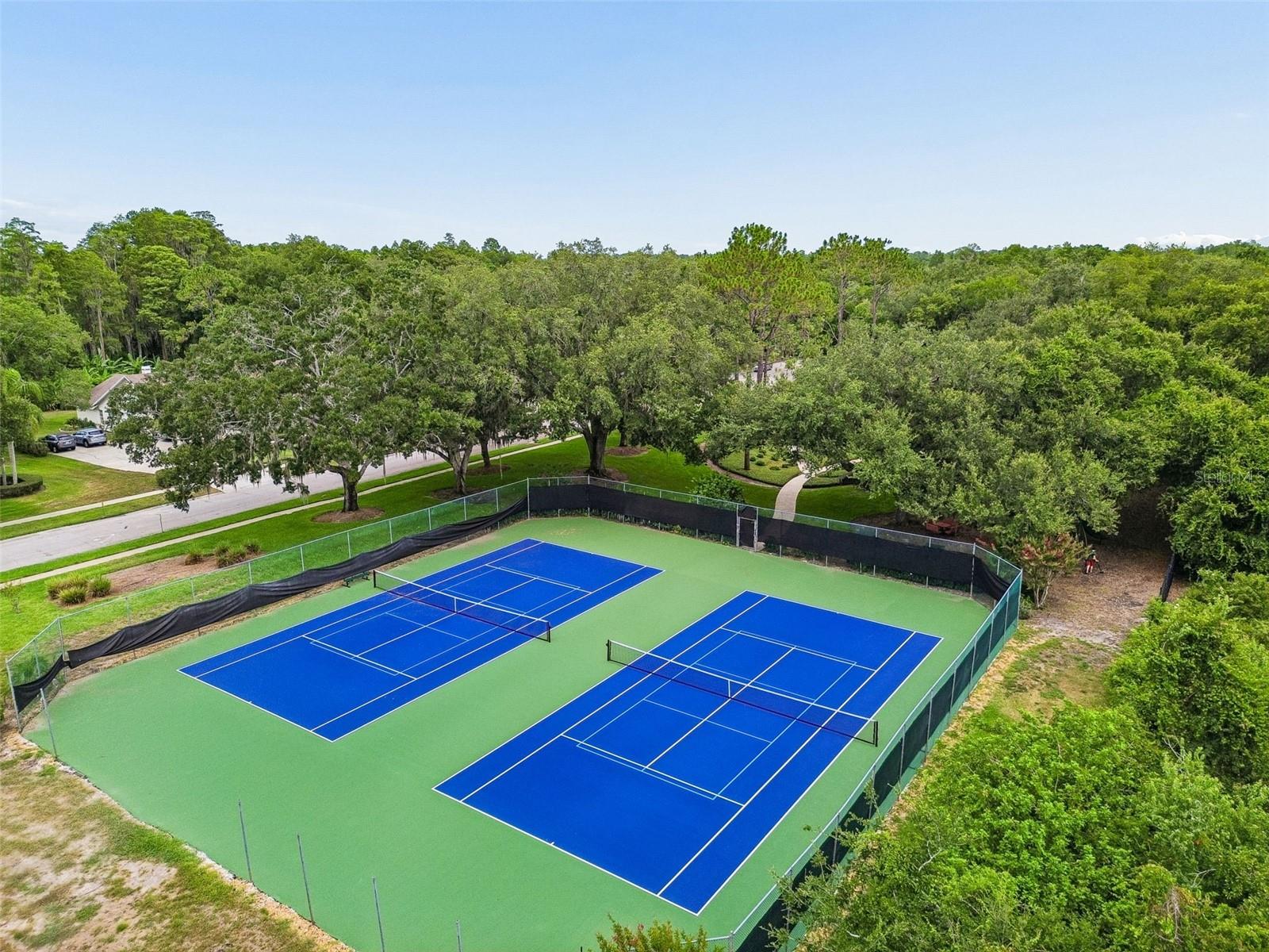 18106 FAIRMEAD CT, LUTZ, FL — photo 43