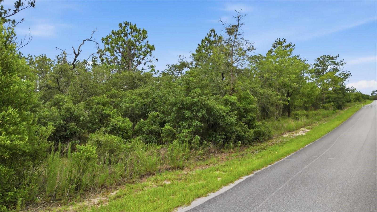0000 SW PLAZA COURT CT, DUNNELLON, FL — photo 3