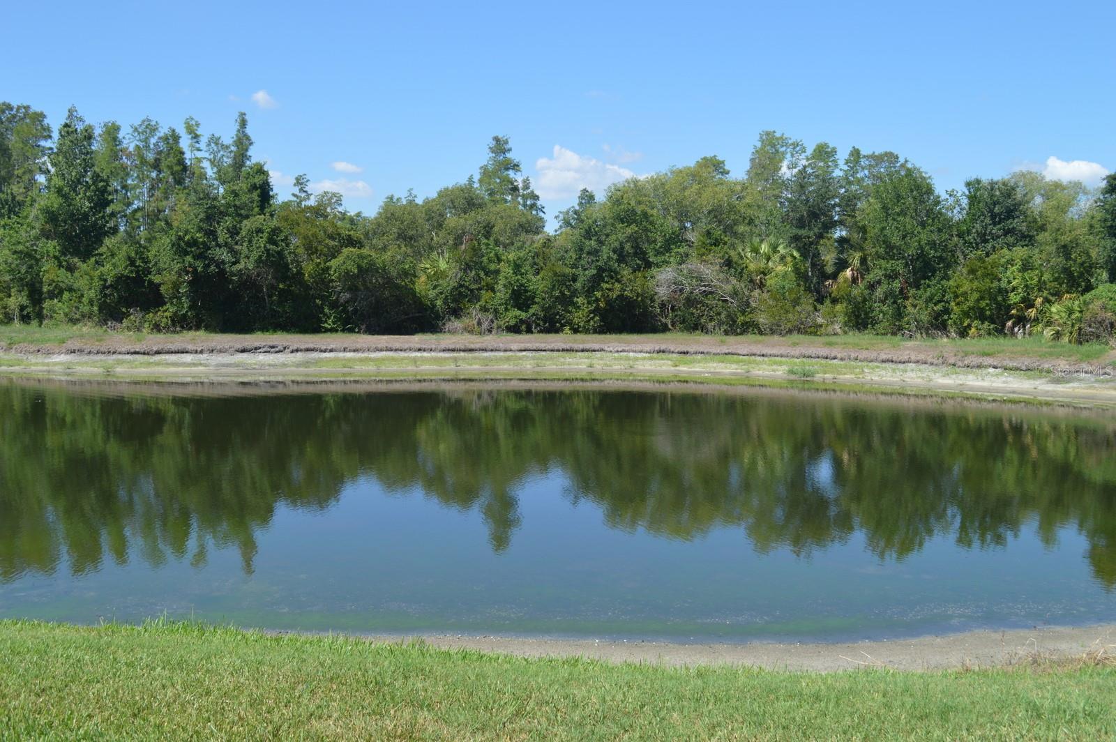 1926 SASSAFRAS DR, WESLEY CHAPEL, FL — photo 19