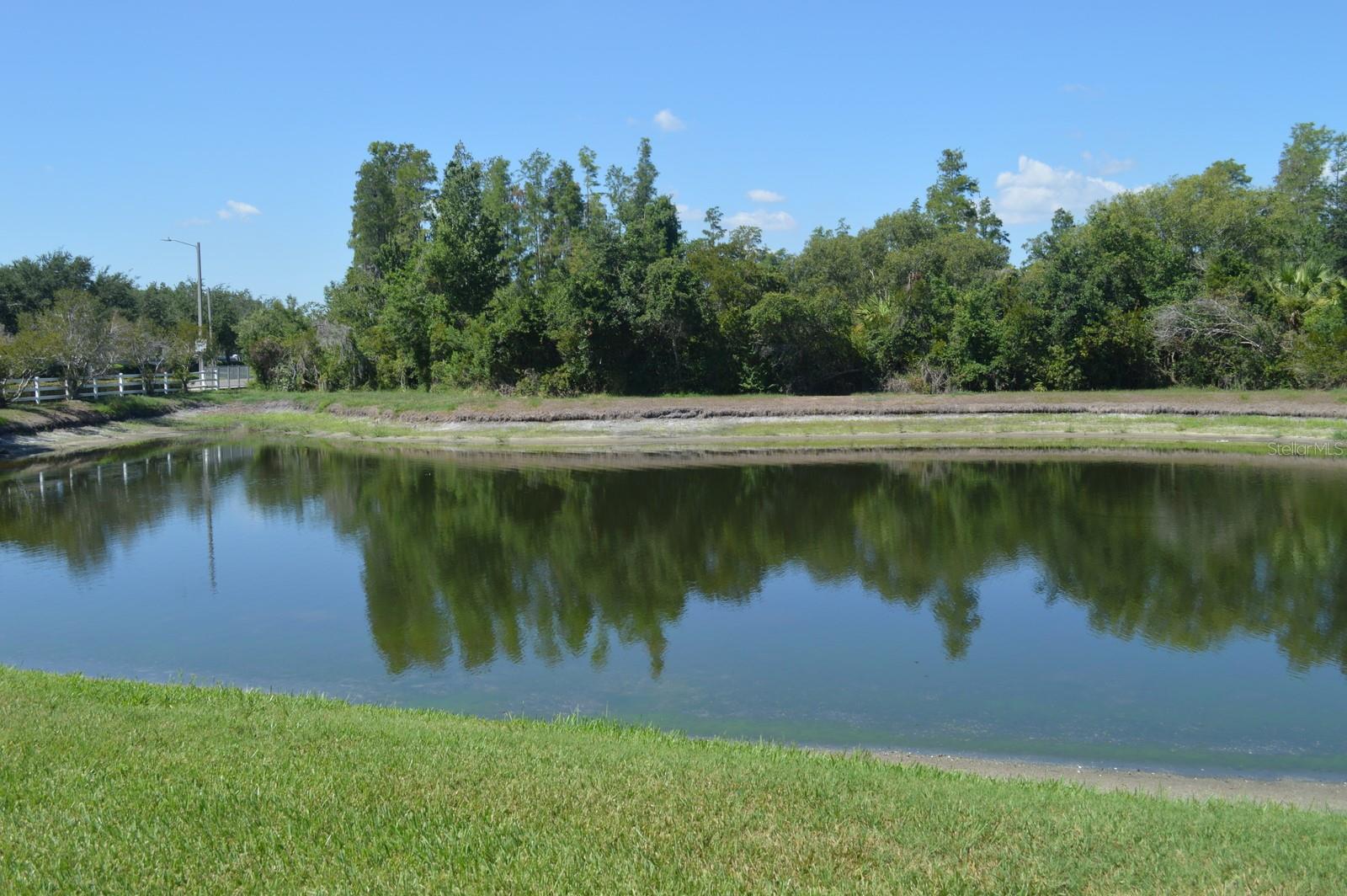 1926 SASSAFRAS DR, WESLEY CHAPEL, FL — photo 20