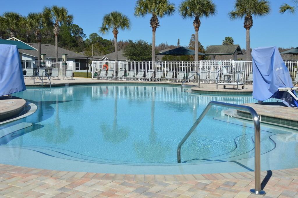 1926 SASSAFRAS DR, WESLEY CHAPEL, FL — photo 24