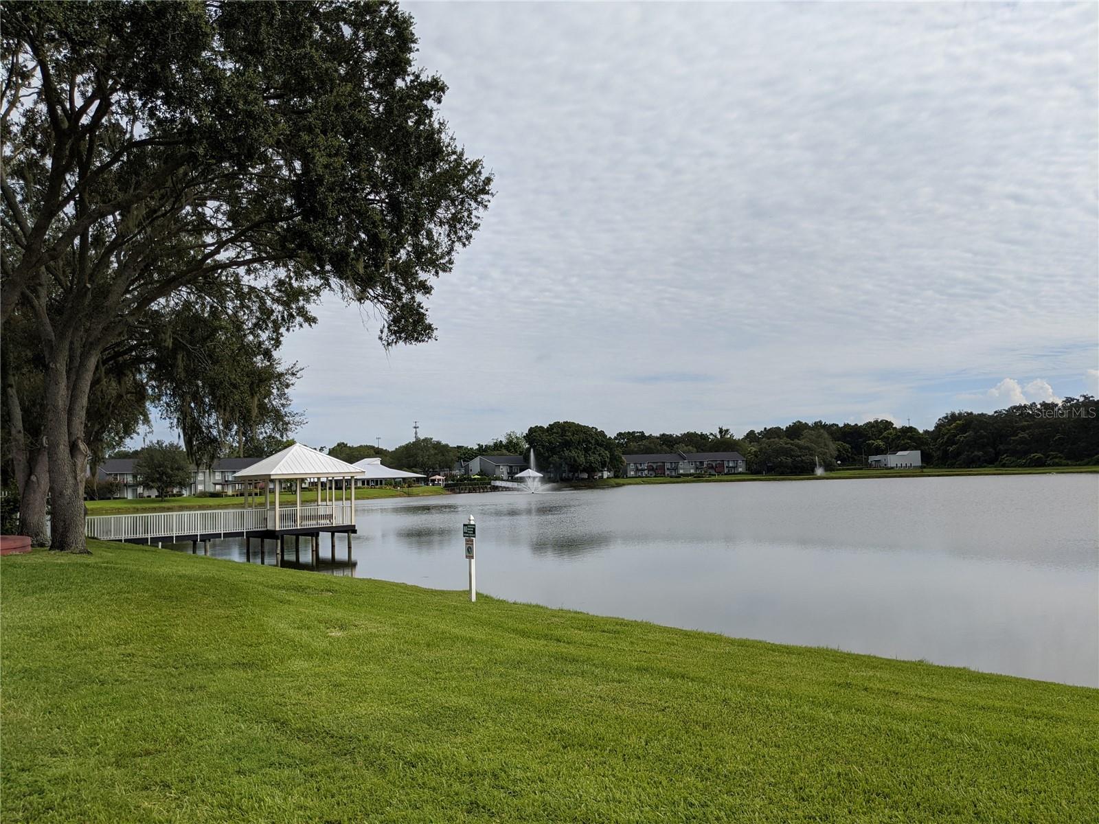 209 LAKE BROOK CIR #103, BRANDON, FL — photo 4