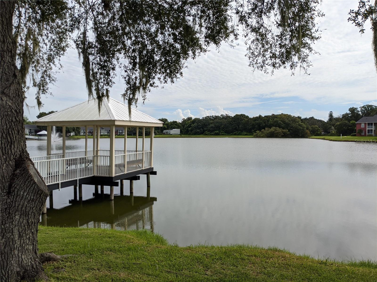 209 LAKE BROOK CIR #103, BRANDON, FL — photo 5