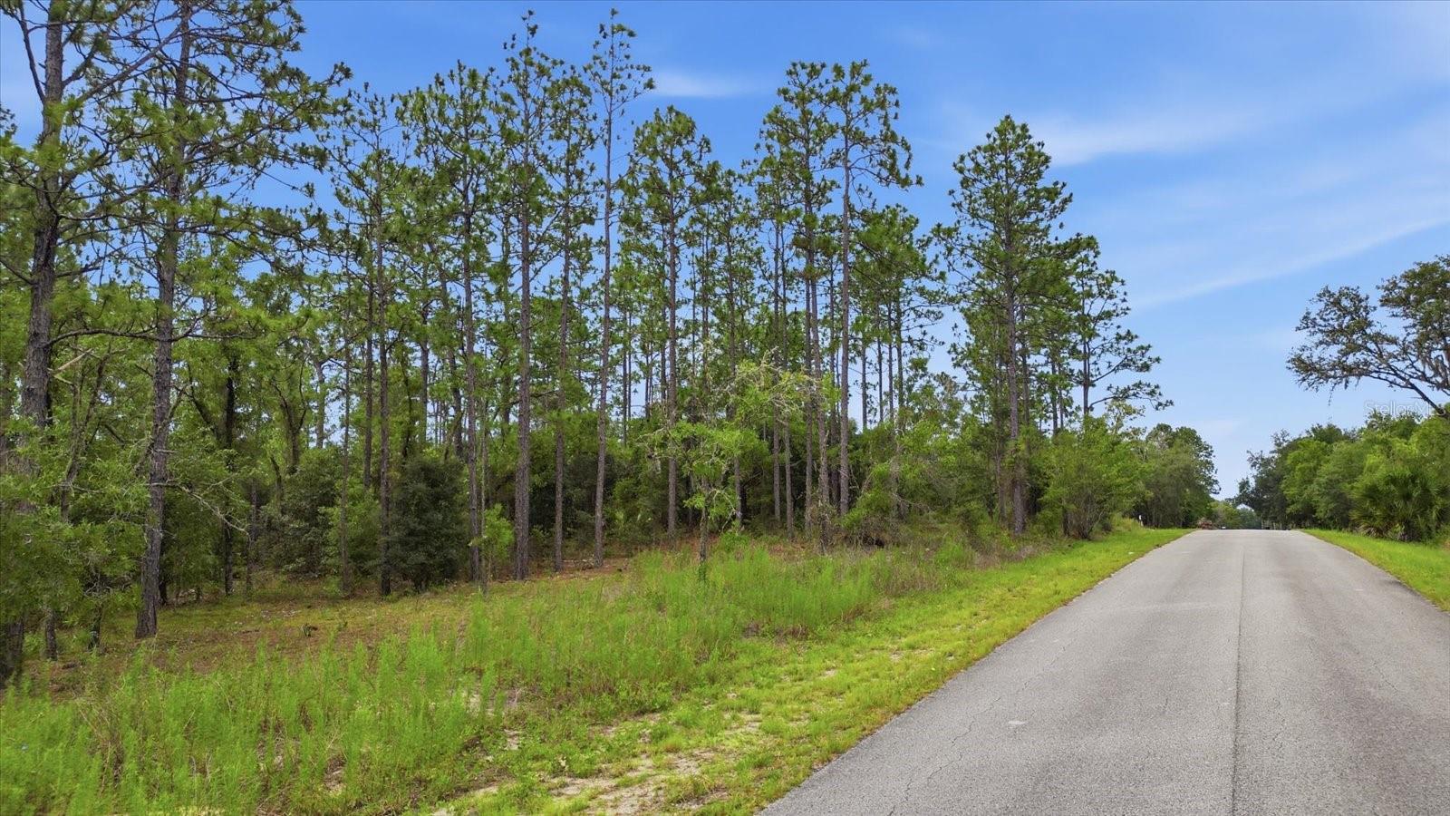 0000 SW SANDS POINT AVE LOT 38, DUNNELLON, FL — photo 2